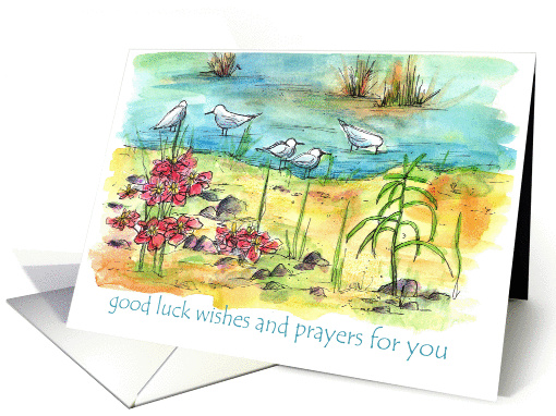 Good Luck Wishes Prayers For You Seagulls Landscape card (1267848)