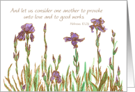 Scripture Friendship Purple Iris Flowers Watercolor Art card