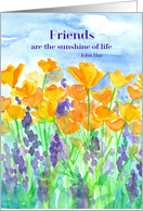 Friends Are The Sunshine Of Life California Poppies card