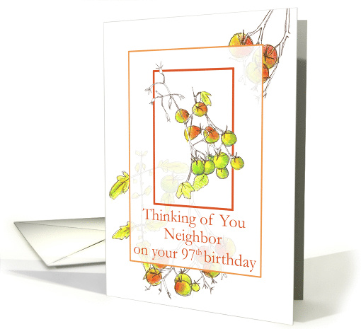 Happy 97th Birthday Neighbor Cherry Tomatoes card (1314404)