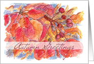 Autumn Greetings Leaves Berries Botanical Watercolor Illustration card