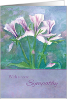 With Sincere Sympathy Geranium Flower Watercolor Painting card