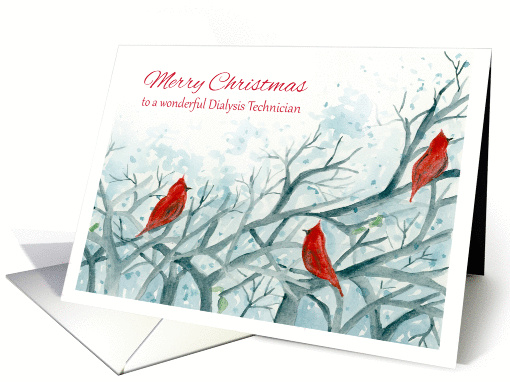 Merry Christmas Dialysis Technician Cardinal Birds Winter Trees card