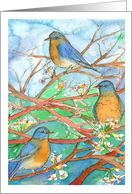 Happy Mother’s Day Bluebirds Flower Tree Nature Watercolor Painting card