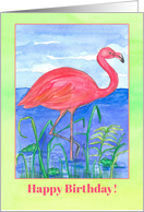 Happy Birthday Pink Flamingo Bird Frog Pond card