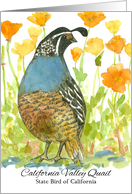 State Bird of California Valley Quail Orange Poppy Flowers Watercolor card