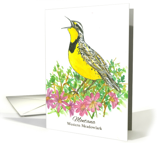 State Bird of Montana Western Meadowlark Bitterroot Watercolor card