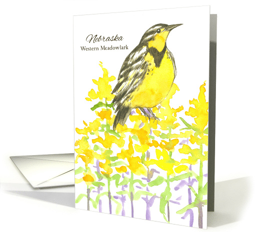 State Bird of Nebraska Meadowlark Goldenrod Flower Watercolor card