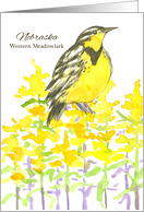 State Bird of Nebraska Meadowlark Goldenrod Flower Watercolor card