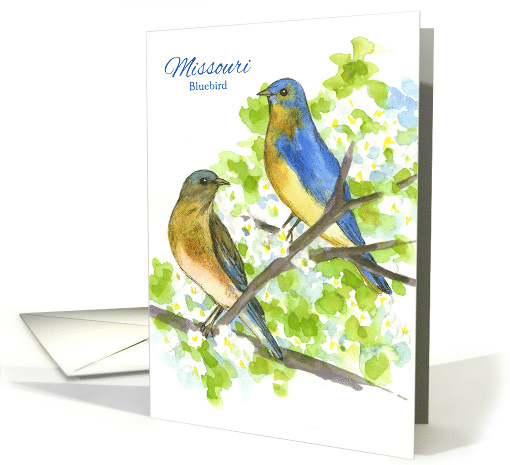 State Bird of Missouri Bluebirds Hawthorn Flower Watercolor card