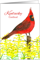 State Bird of Kentucky Cardinal Goldenrod Wildflower card