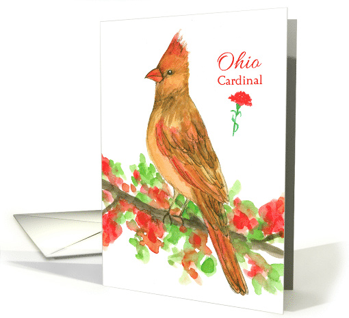 State Bird of Ohio Cardinal Red Carnation Flower card (1517774)