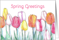 Spring Greetings Pink Tulip Flower Garden card