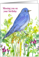 Missing You On Your Birthday Bluebird Wildflowers card