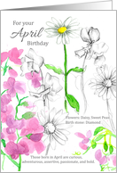 For Your April Birthday Daisy Sweet Peas Botanical card