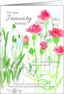 For Your January Birthday Carnations Snowdrops Floral card