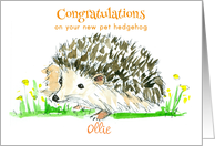 Congratulations New Pet Hedgehog Custom Name card