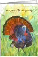 Happy Thanksgiving Turkey Autumn Grass Field card