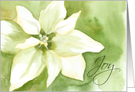 Joy Merry Christmas White Poinsettia Flower card