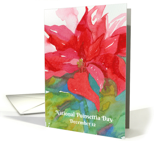 National Poinsettia Day December 12 Christmas card (1716836)