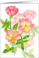 Pink Wild Prairie Roses Watercolor Flowers Blank card