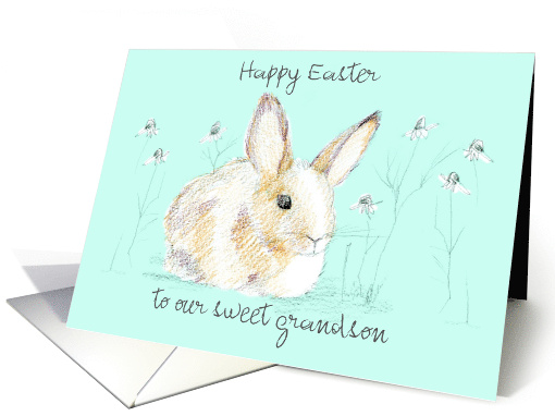 Happy Easter Grandson Rabbit Mint Green Custom card (1759032)