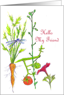 Hello My Friend Garden Vegetable Drawing Dragonfly Tomato card