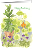 Happy Birthday Gardening Friend Herbs Bay Orange Nasturtium card