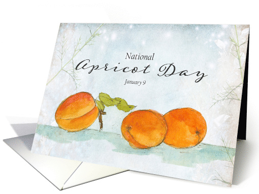 Apricot Day January 9 Orange Fruit Winter Plants card (1808676)