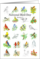 National Bird Day January 5 Bluebird Watercolor Flowers card