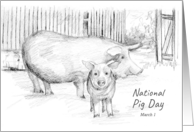 National Pig Day March 1 Barnyard Farm Animal card