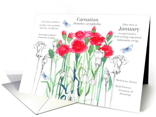 January Birthday Flower Carnations Snowdrops Butterfly card (1812740)
