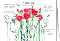 January Birthday Flower Carnations Snowdrops Butterfly card