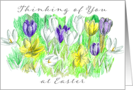 Thinking of You at Easter Spring Crocus Flowers card