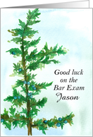 Good Luck Bar Exam Juniper Tree Custom Name card