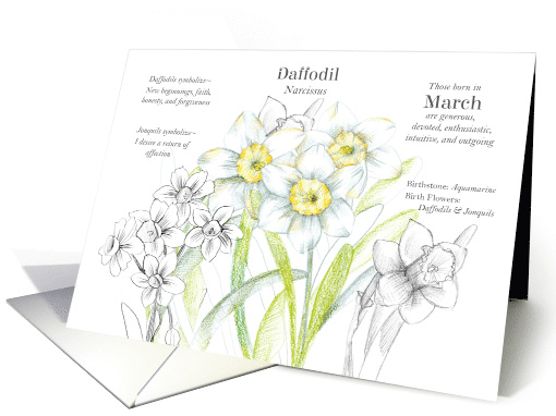 March Birthday Flower Daffodils Language of Flowers card (1828754)