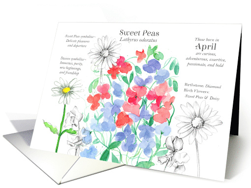 April Birthday Flower Sweet Pea Daisy Language of Flowers card