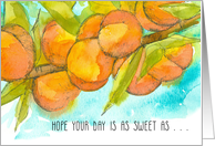 Thinking of You Sweet As Peaches Fruit Tree card