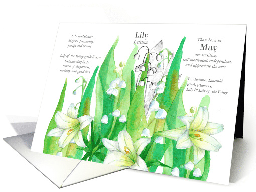 May Birthday Flower Lily of the Valley Birth Month card (1838490)