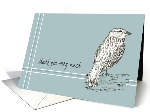 Thank You Business Client Bird Pen and Ink Drawing card (186066)