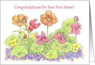New Home Congratulations Orange Nasturtium Flowers card