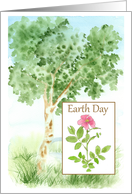 Earth Day Birthday Tree Pink Wild Rose card