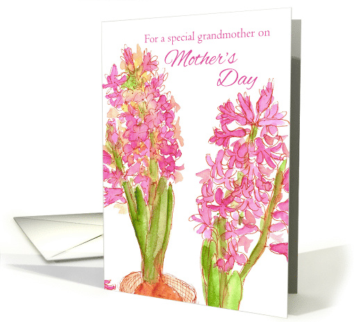 For A Special Grandmother on Mother's Day Pink Hyacinths card (563802)