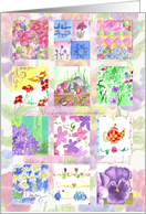 Pansy Daisy Spring Flowers Collage Blank card