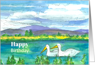 Happy Birthday Mountain Lake Western Pelicans card