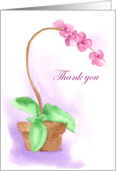 Thank You Pink Orchid Flower Plant Blank card