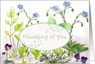 Thinking of You Herb Garden Wildflower Botanical Watercolor card