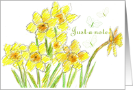 Yellow Daffodil Flower Garden Butterfly Blank card