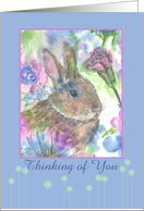 Thinking of You Rabbit Carnation Daisy Flowers card