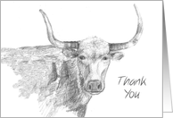 Thank You Longhorn Farm Animal Pencil Drawing card
